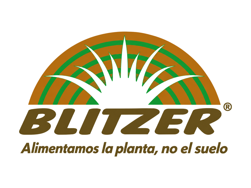 Blitzer
